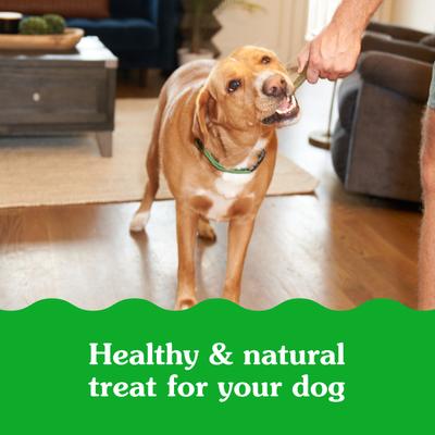 Show full view: Greenies Smartbites Immune Support Chicken Flavor Crunchy & Soft Dog Treats, 8-oz pouch slide 9 of 11