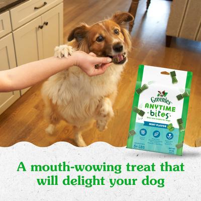 Show full view: Greenies Anytime Bites Mint Flavor Soft & Chewy Dog Treats, 24-oz bag slide 9 of 11