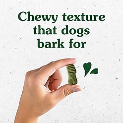 Greenies Anytime Bites Original Chicken Flavor Soft & Chewy Dog Treats, 10.3-oz bag slide 2 of 9