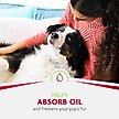 Show in main carousel: FURminator Fresh & Clean Dry Dog Shampoo, Scented, 7-fl oz bottle slide 6 of 8