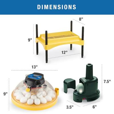 Show full view: Brinsea Advance Bird Egg Incubator Classroom Pack, Maxi II, 24 count slide 8 of 9