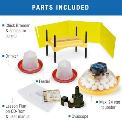 Show full view: Brinsea Advance Bird Egg Incubator Classroom Pack, Maxi II, 24 count slide 7 of 9