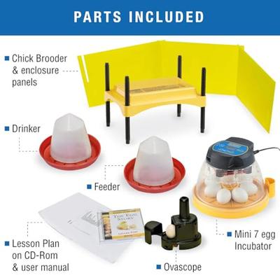 Show full view: Brinsea Advance Bird Egg Incubator Classroom Pack, Mini II, 7 count slide 7 of 9