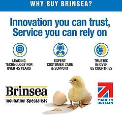 Brinsea Ovaview High Intensity Bird Egg Candler slide 2 of 9