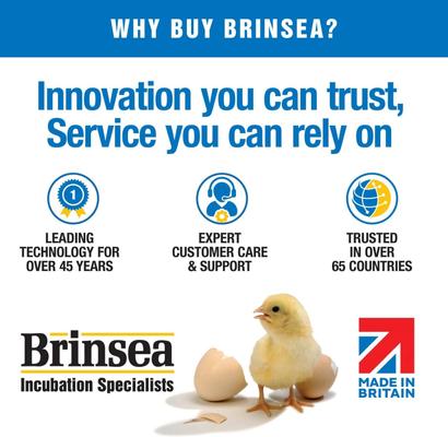 Show full view: Dr. Sniff Clean As A Whistle Cat & Dog Shampoo, 13.5-oz bottle slide 8 of 8