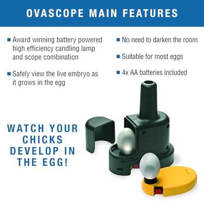Show full view: Brinsea Advance Bird Egg Incubator Classroom Pack, Mini II, 7 count slide 5 of 9