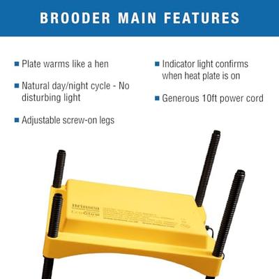 Show full view: Brinsea Advance Bird Egg Incubator Classroom Pack, Maxi II, 24 count slide 4 of 9