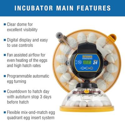 Show full view: Brinsea Advance Bird Egg Incubator Classroom Pack, Maxi II, 24 count slide 3 of 9