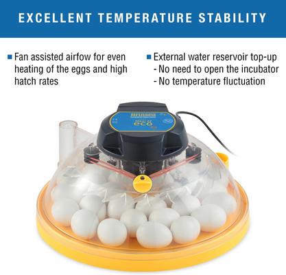 Show full view: Dr. Sniff Clean As A Whistle Cat & Dog Shampoo, 13.5-oz bottle slide 4 of 8