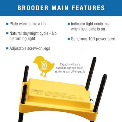 Show full view: Brinsea Advance Bird Egg Incubator Classroom Pack, Mini II, 7 count slide 4 of 9