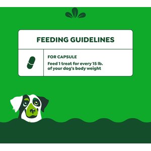 Greenies Pill Pockets Canine Real Peanut Butter Flavor Dog Treats, Capsule Size, 60 count