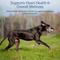 Show in main carousel: Rx Vitamins LiquiCarn Liquid Heart Supplement for Cats & Dogs, 4-fl oz bottle slide 5 of 7
