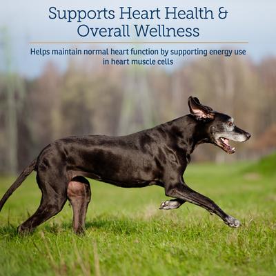 Show full view: Rx Vitamins LiquiCarn Liquid Heart Supplement for Cats & Dogs, 4-fl oz bottle slide 5 of 7