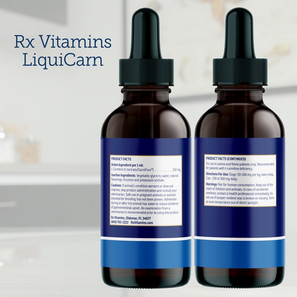 Rx Vitamins LiquiCarn Liquid Heart Supplement for Cats & Dogs