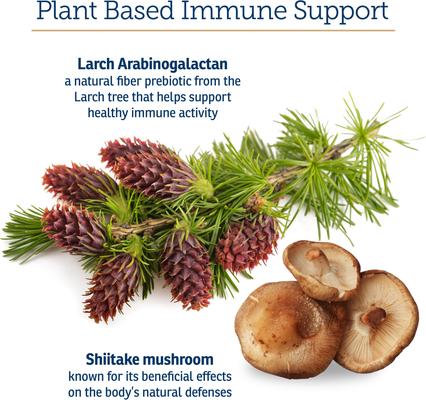 Show full view: Rx Vitamins Immuno Capsules Immune Supplement for Cats & Dogs, 60 count slide 7 of 9