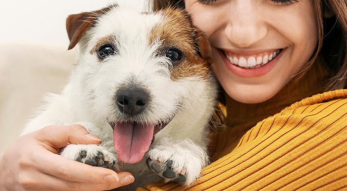 Purina Beneful Baked Delights Hugs with Real Beef & Cheese Dog Treats