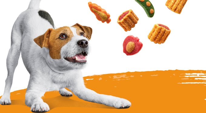 Purina Beneful Baked Delights Hugs with Real Beef & Cheese Dog Treats