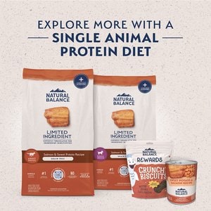 Natural Balance Limited Ingredient Grain-Free Salmon & Sweet Potato Recipe Dry Dog Food, 4-lb bag