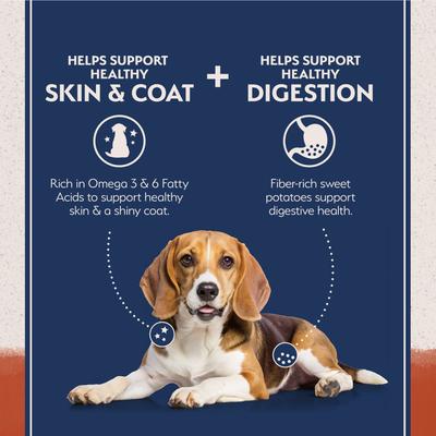 Natural Balance Limited Ingredient Grain-Free Salmon & Sweet Potato Recipe Dry Dog Food