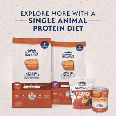 Natural Balance Limited Ingredient Grain-Free Salmon & Sweet Potato Recipe Dry Dog Food