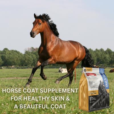 Show full view: The Missing Link Well Blend Skin & Coat Powder Horse Supplement, 10.6-lb bag slide 4 of 5