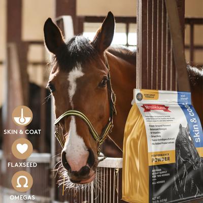 Show full view: The Missing Link Well Blend Skin & Coat Powder Horse Supplement, 10.6-lb bag slide 3 of 5