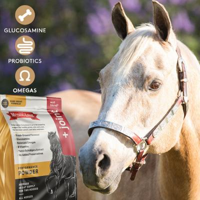 Show full view: The Missing Link Well Blend + Joint Powder Horse Supplement, 10.6-lb bag slide 4 of 4
