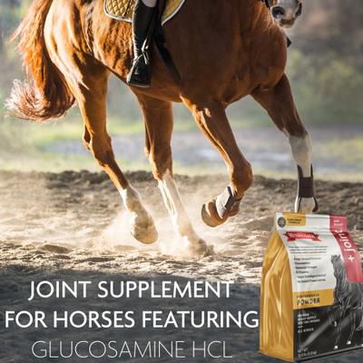 Show full view: The Missing Link Well Blend + Joint Powder Horse Supplement, 10.6-lb bag slide 3 of 4