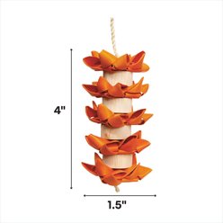 A&E Cage Company Hot Flames Preening Bird Toy slide 2 of 2
