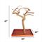 Show in main carousel: A&E Cage Company Java Wood Tree Box Bird Stand, Tan, Medium slide 2 of 4