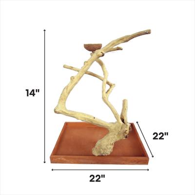 Show full view: A&E Cage Company Java Table Top Bird Stand, Tan, Medium slide 2 of 3