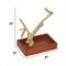 Show in main carousel: A&E Cage Company Java Wood Table Top Play Bird Stand, Tan, X-Small slide 2 of 3