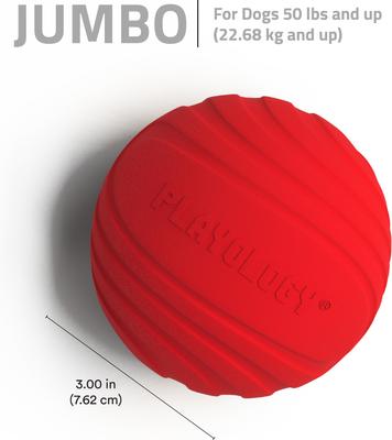 Show full view: Playology Beef Scented Dual Layer Ball Dog Toy, Jumbo slide 5 of 8