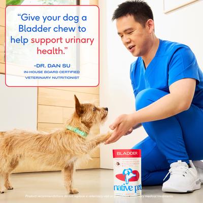 Native Pet Cranberry Bladder Chews Kidney & Urinary Supplement for Dogs