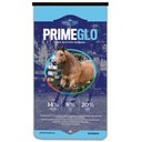 ADM PRIMEGLO Forage First Premium Nutrition Mature Horse Feed, 50-lb bag