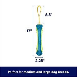 Frisco Tug & Fetch Floating TPR Bumper with Handle Dog Toy, Medium/Large slide 2 of 7