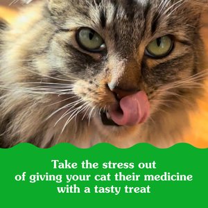 Greenies Pill Pockets Feline Chicken Flavor Natural Soft Adult Cat Treats, 1.6-oz bag, 45 count