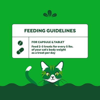 Show full view: Greenies Pill Pockets Feline Natural Salmon Flavor Soft Adult Cat Treats, 45 count slide 8 of 12