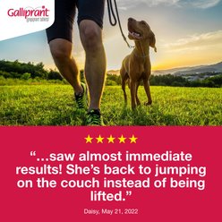 Galliprant (grapiprant) Tablets for Dogs, 60-mg, 30 tablets slide 2 of 9