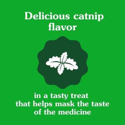 Show full view: Greenies Pill Pockets Feline Catnip Flavor Natural Soft Adult Cat Treats, 1.6-oz pouch, 45 count slide 6 of 11
