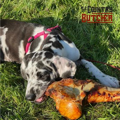 Show full view: The Country Butcher Beef Dino Bone Dog treat, 12-in  slide 9 of 10