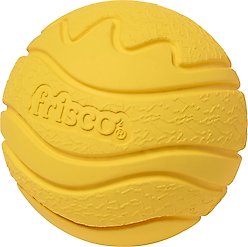 Frisco Fetch Floating Rubber Ball Dog Toy, Medium