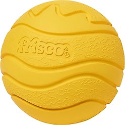 Frisco Fetch Floating Rubber Ball Dog Toy, Large