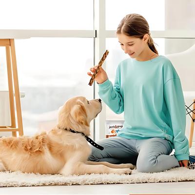 Show full view: Jack & Pup 12-inch Beef Braided Collagen Sticks Dog Chews, 8 count slide 8 of 8