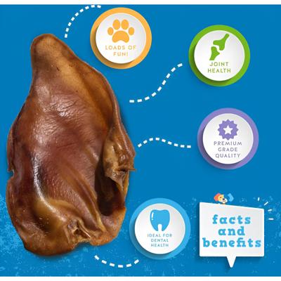 Show full view: Jack & Pup Whole Pig Ear Dog Chews, 10 count slide 3 of 8