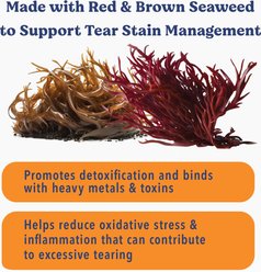 Angels' Eyes Sea Sticks Tear Stain Friendly Adult Crunchy Dog Treats, Large, 6 count slide 2 of 8