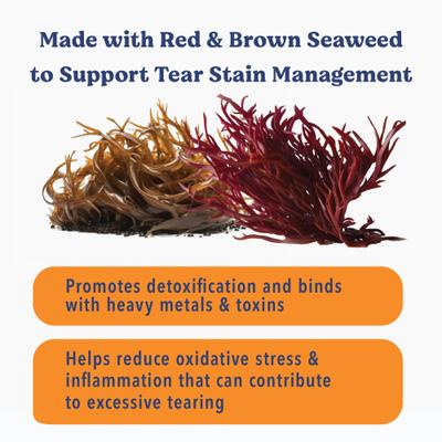 Show full view: Angels' Eyes Sea Sticks Tear Stain Friendly Adult Crunchy Dog Treats, Medium, 12 count slide 4 of 11