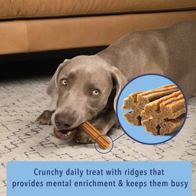 Show full view: Angels' Eyes Sea Sticks Multi Benefit Daily Adult Crunchy Dog Treats, Medium, 12 count slide 5 of 9