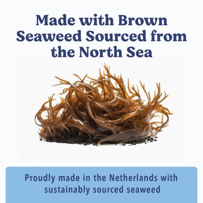 Show full view: Angels' Eyes Sea Sticks Multi Benefit Daily Adult Crunchy Dog Treats, Medium, 12 count slide 6 of 9