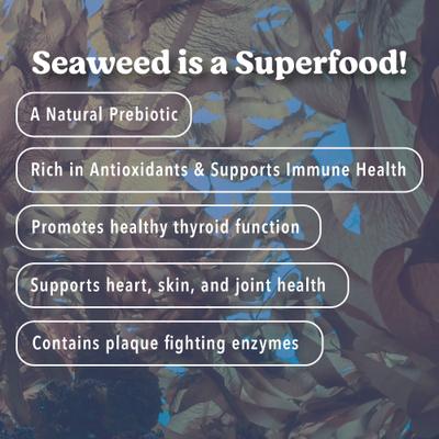 Show full view: Angels' Eyes Sea Sticks Multi Benefit Daily Adult Crunchy Dog Treats, Medium, 12 count slide 4 of 9